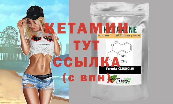 гашик Пестово