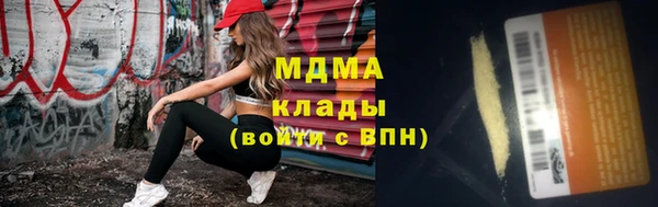 гашик Пестово