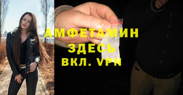 гашик Пестово
