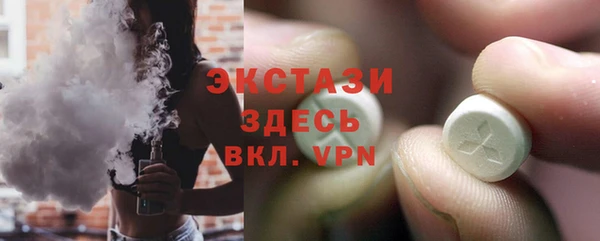гашик Пестово