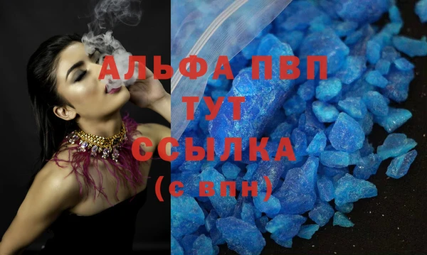 дживик Пересвет