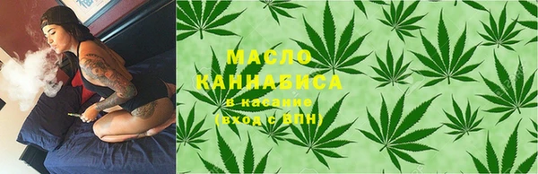дживик Пересвет